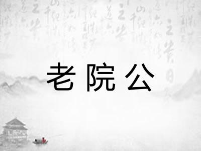 老院公