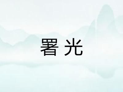署光