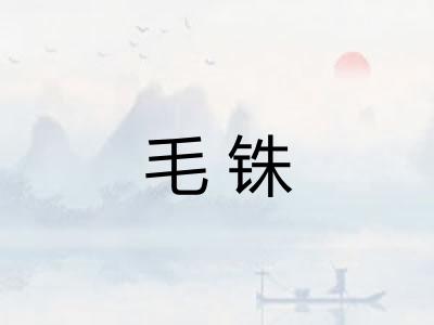 毛铢
