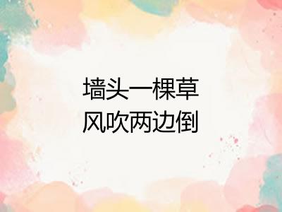 墙头一棵草风吹两边倒