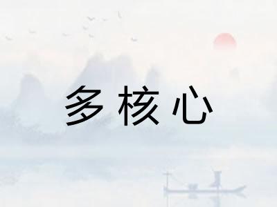 多核心
