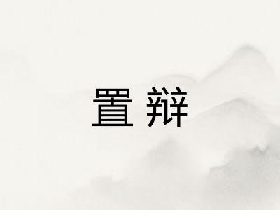 置辩