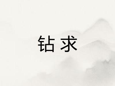 钻求