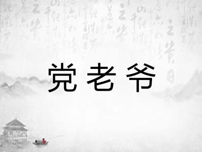 党老爷