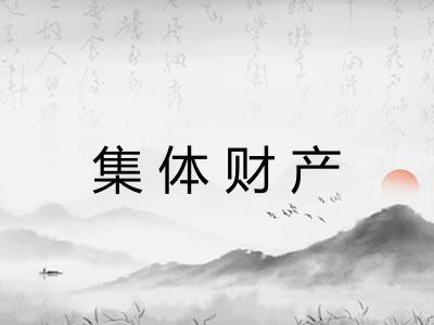 集体财产