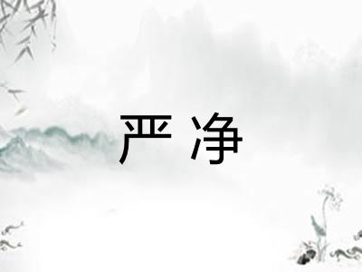 严净