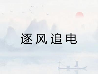 逐风追电