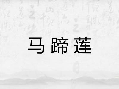 马蹄莲