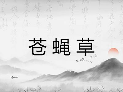 苍蝇草