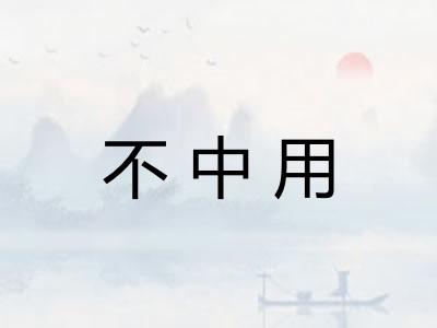 不中用
