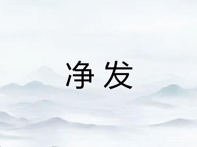 净发