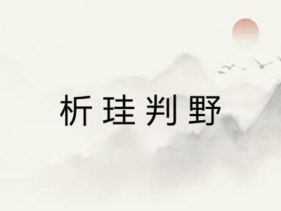 析珪判野