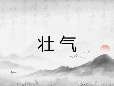 壮气