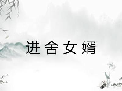 进舍女婿