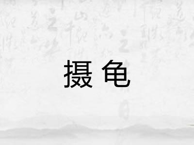 摄龟