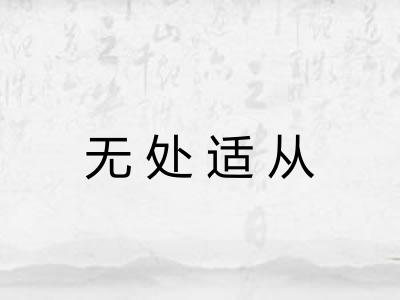 无处适从