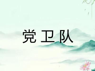 党卫队