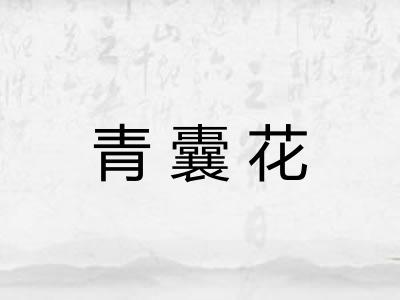 青囊花
