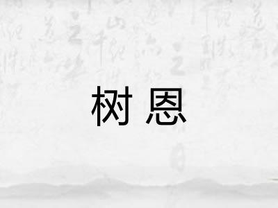 树恩