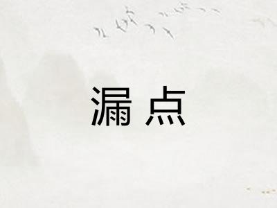 漏点