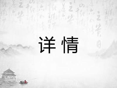详情