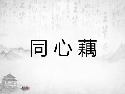 同心藕