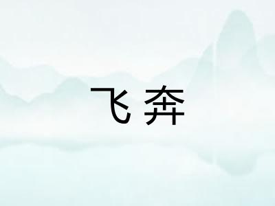 飞奔