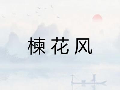 楝花风