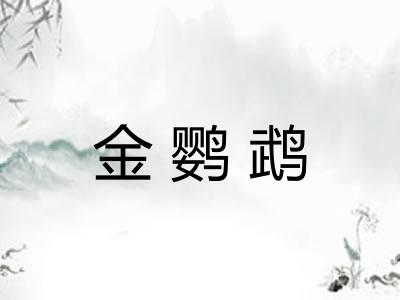 金鹦鹉