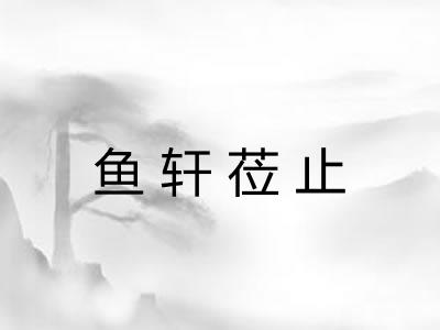 鱼轩莅止