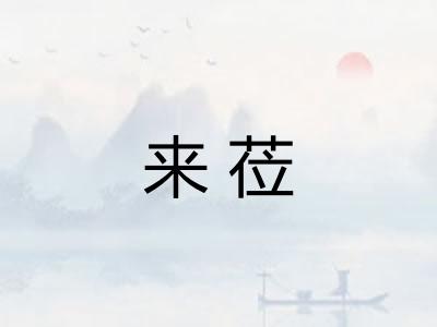 来莅