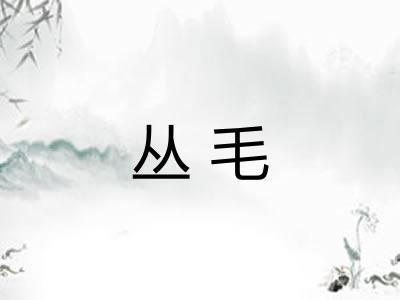 丛毛