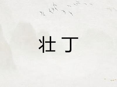 壮丁