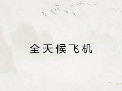全天候飞机