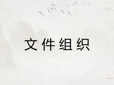 文件组织