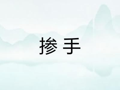掺手