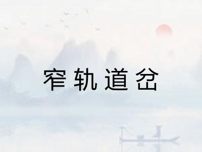 窄轨道岔