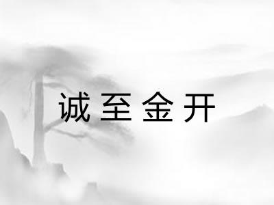 诚至金开