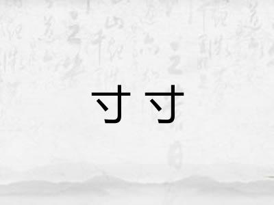 寸寸