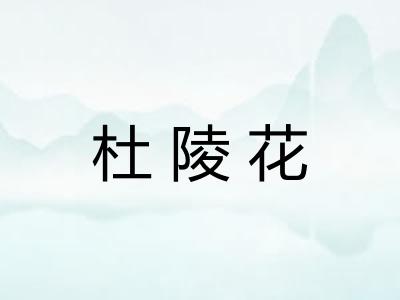 杜陵花