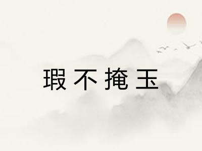 瑕不掩玉