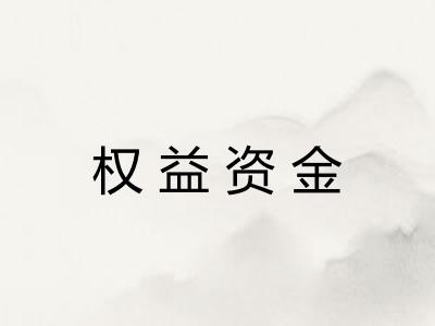 权益资金