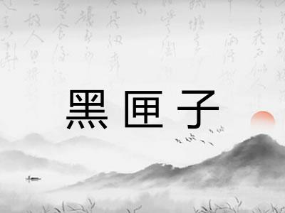 黑匣子