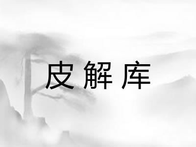 皮解库