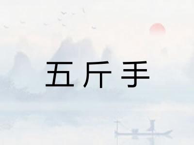 五斤手