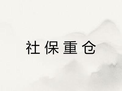 社保重仓