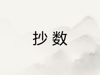 抄数