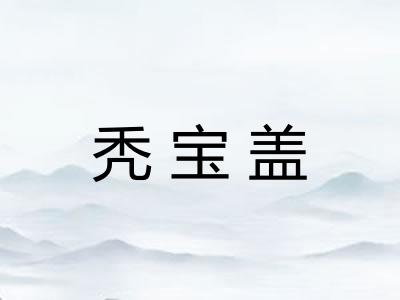 秃宝盖