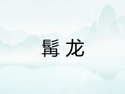 髯龙