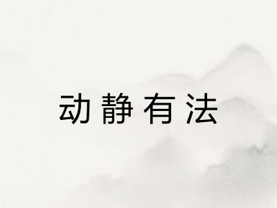 动静有法